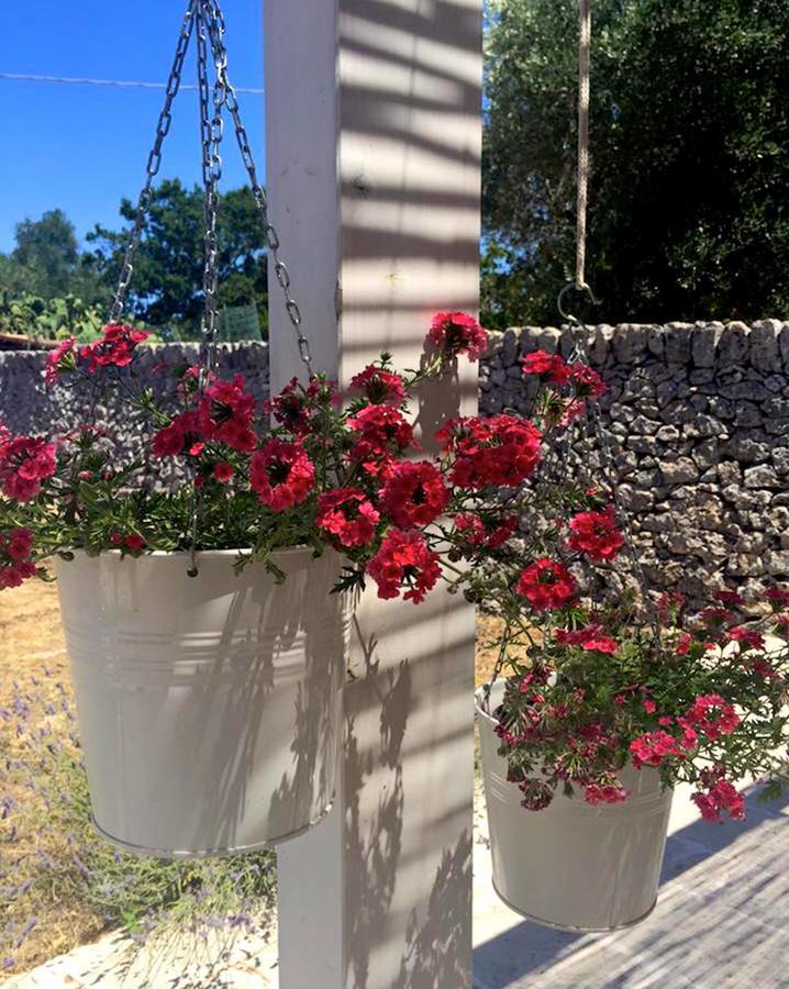 Masseria Trulli&Stelle B&B Noci Exterior photo
