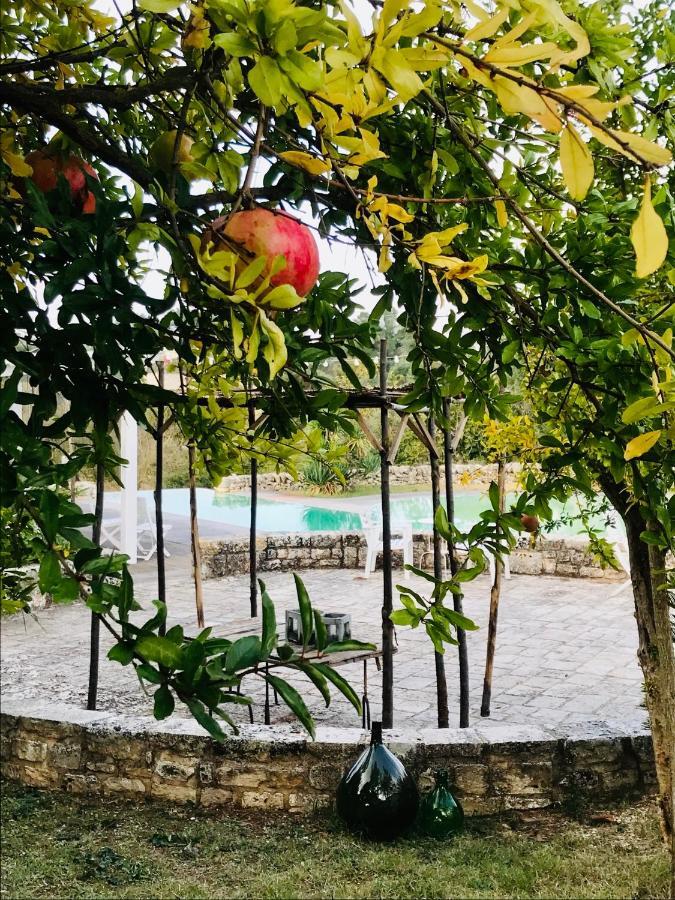 Masseria Trulli&Stelle B&B Noci Exterior photo
